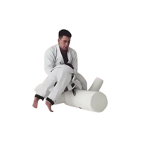 Mannequin d'entraînement pour enfants en Jiu-Jitsu brésilien, grappling, Jiu-Jitsu, judo, kung-fu, MMA