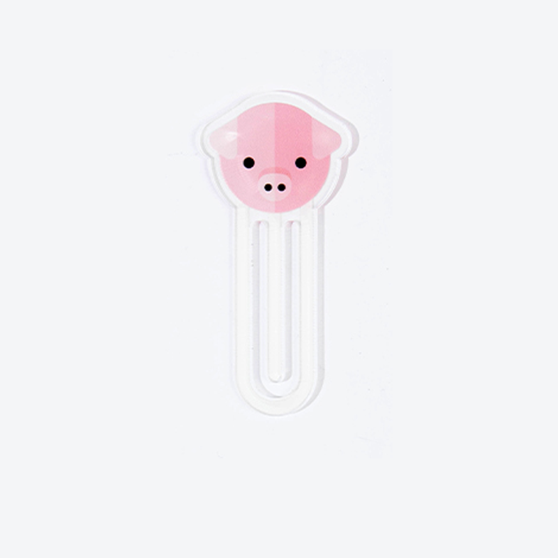 pig