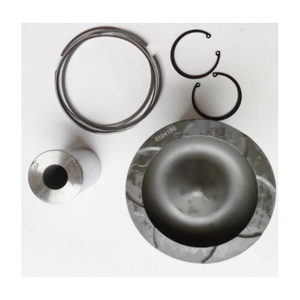 Isx15 Qsx15 Autoteile Kolbenkomponenten mit Vier- und Sechs-Kolben-Set 2882118 3104186 - Product Image 1