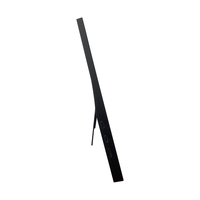 Monitor Gaming Portabel OEM 15,6 inci, Monitor Portabel, Layar Eksternal USB C, Pabrik OEM ODM CE RoHS