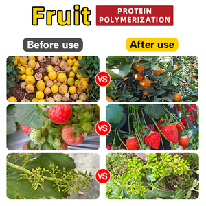 <span class=keywords><strong>Engrais</strong></span> liquide organique à base d'acides aminés à action rapide, pureté à 100 %, protège les <span class=keywords><strong>fleurs</strong></span> et les fruits, <span class=keywords><strong>engrais</strong></span> hydrosoluble - Product Image 1