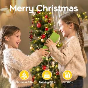 Artisanat en bois DIY Bird House kit petites cages à oiseaux de luxe Freestyle Peinture drôle nichoir pour l'extérieur - Product Image 4