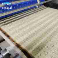 Ligne de production de biscuits durs et mous Skywin Explosion 2026 – Machine à fabriquer les biscuits avec découpeuse rotative