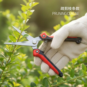 Joli ensemble de 4 cisailles de jardinage en acier inoxydable à lames croisées pour la taille des fleurs et des vigne - Product Image 3
