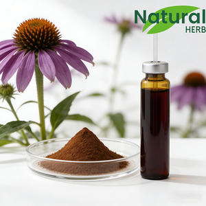 Chiết xuất cây hoa cúc tây tự nhiên 4% Polyphenols, thực phẩm bổ sung thảo dược, đạt chứng nhận <span class=keywords><strong>GMP</strong></span>, nhà máy đạt chuẩn ISO, hỗ trợ miễn dịch - Product Image 2