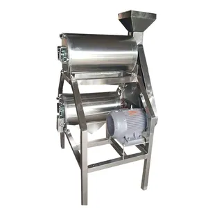 Machine automatique d'extraction de jus de pulpe de mangue Machine de batteur de mangue
