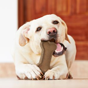 Juguete para Perros de Fieltro de Lana Natural y Cuero, Resistente, Cosido, para Masticar, para Perros de Razas Medianas y Grandes, Venta al Por Mayor - Product Image 4