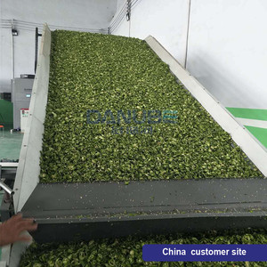 Séchoir à bande continue pour feuilles de Laurier et citrons – Fabricants de machines de séchage - Product Image 3