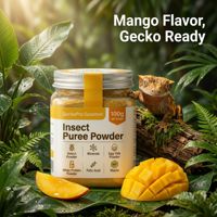 Purée en poudre pour gecko, petit lézard, reptile, insecte, délai de livraison rapide, certifié ISO, ligne de production pour animaux de compagnie, usine inscrite à la FDA