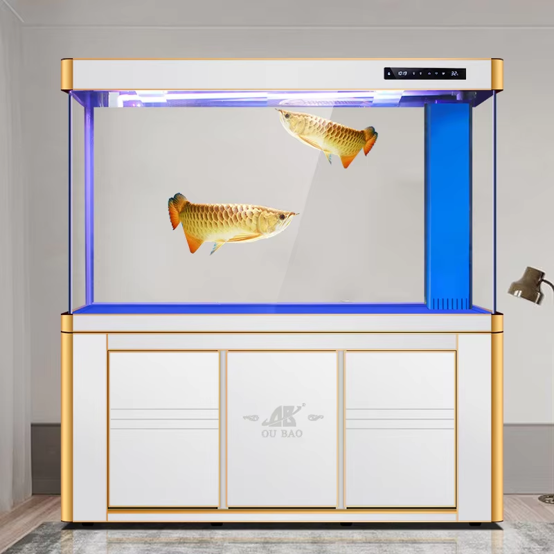 Blanc avec bordure dorée