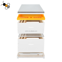 Nouveau Langstroth 10 Cadre Jaune Ruche Top Feeder En Plastique Ruche Top Feeder pour Ruche