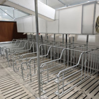 Competitive Price Compact Piglet Nursery Crate Pig Pen System Pig Farm Solution for Pig House