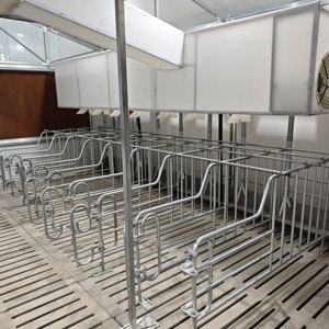 <span class=keywords><strong>Lit</strong></span> d'accouchement pour porcs à conception sécurisée et efficace, cage <span class=keywords><strong>de</strong></span> maternité pour porcelets, installation pour élevage porcin destinée à <span class=keywords><strong>la</strong></span> modernisation <span class=keywords><strong>des</strong></span> exploitations - Product Image 5