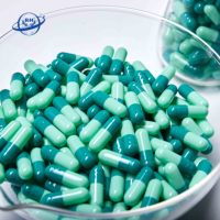 Capsule vide en gélatine halal fabrication capsule taille 0 # capsule dure vide