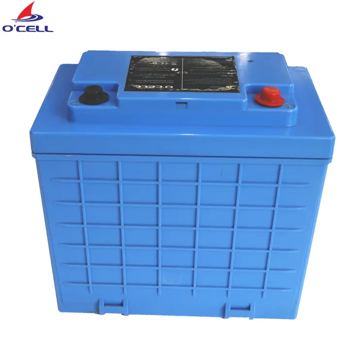 China O'CELL Lithium Iron Phosphate/LiFePO4 Battery 24V 50Ah for Brunswick/Garmin/Haswing Yacht/Boat/Trolling Motor