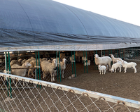 Abri pour chèvre et mouton à bas prix, modèles de ferme, modèles de ferme, à vendre