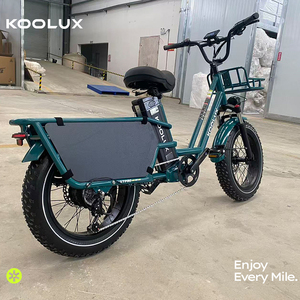 จักรยานไฟฟ้าขนส่งสินค้าจากคลังสินค้า EU ขนาดยาง 20 นิ้ว 250W 48V 25Ah ระยะทาง 80-120 กม. สำหรับส่งอาหารในยุโรป ขายส่ง ระยะทางไกล - Product Image 1
