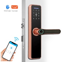 Yüksek güvenlik Anti hırsızlık akıllı kapı kilidi tuya wifi biyometrik akıllı ttlock elektronik parmak izi akıllı kilitler