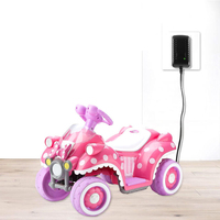 LanLin 12V 1A Ladegerät für Kinderfahrzeuge, Geeignet für ATV-Netzadapter, Roter Quadratischer Stecker, 1 Jahr Garantie