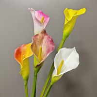 Fleur de calla artificielle PPS de haute qualité, toucher réel, 75 cm, en latex, pour mariage, décoration de table, événements