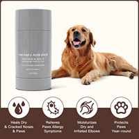Baume pour pattes et nez de chien PetFit OEM à base de plantes naturelles, emballage plastique moderne, crème hydratante écologique pour le soin des pattes et des griffes