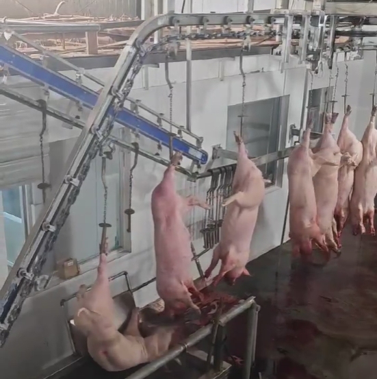Meat Processing Machinery Auto Meat Flattening
