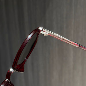 Kacamata hitam trendi <span class=keywords><strong>Oval</strong></span> wanita kacamata hitam Retro 2026 kacamata hitam terpolarisasi kualitas tinggi Tr90 - Product Image 3