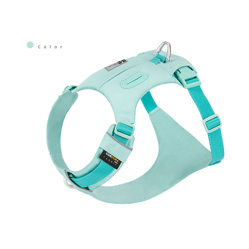 สีเขียวน้ำทะเล