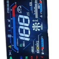Écran LCD segmenté personnalisé pour les panneaux d'instruments des véhicules électriques et des motos