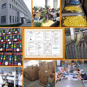 Paletas de Acuarelas Profesionales para Pintar Caras y Cuerpos de Niños, Fórmula Natural a Base de Plantas, Certificación CE, Incluye Cinco - Product Image 6