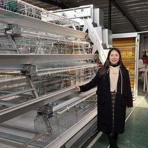 Ouganda Kenya Ferme de volaille nouvel état 4 pneus couche batterie <span class=keywords><strong>Poulailler</strong></span> Poule Cages à vendre à bas prix - Product Image 5