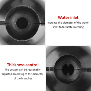Scatola per piante trasparenti per trapianto di palline da giardino per vasi da fiori e fioriere - Product Image 3