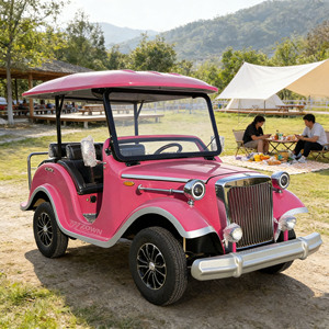 Bus de tourisme de luxe rétro de style européen, électrique, vintage, certifié CE, idéal pour les centres de villégiature et les mariages - Product Image 1