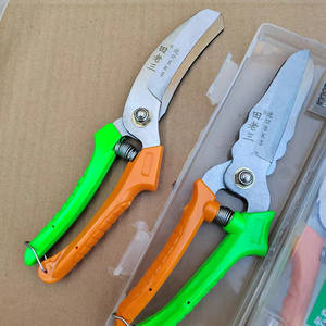 Ciseaux à ail Tian Lao San 3,5 pouces en acier inoxydable, coupe-légumes robuste pour la cuisine, design à tête droite et coudée - Product Image 2