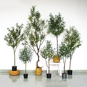 Piante finte Senmasine personalizzate 4ft 5ft 6ft 7ft giardino finto Bonsai grandi ulivi artificiali per ornamento da giardino - Product Image 5
