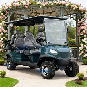 Voiturette de golf électrique classique 2+1 places économique avec batterie au lithium ou au plomb-acide personnalisable 48V/60V/72V - Product Image 1