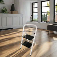 Échelle en acier pliable EN 131 à 2 marches, couleurs personnalisées modernes et durables, épaisseur 0,9 mm, capacité 150 kg, garantie 1 an