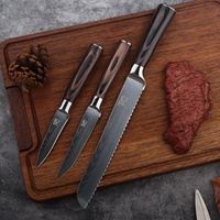 Couteau à gâteau TC, couteaux à fruits, couteau japonais, vente en gros de couteaux de cuisine, ensemble de couteaux professionnels pour chefs, couteau à viande pour boucher en fer