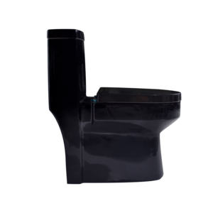 Kit de cerámica más vendido, juego de inodoro y <span class=keywords><strong>fregadero</strong></span> alargado para adultos, inodoro de una pieza de lavado de baño negro combinado para el mercado americano - Product Image 3