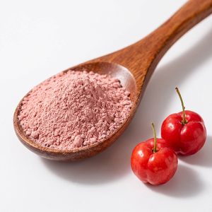 Poudre de <span class=keywords><strong>cerise</strong></span> d'acérola, poudre de jus de <span class=keywords><strong>cerise</strong></span> d'acérola, 100% pure et naturelle, sans additifs, sans supports, qualité alimentaire en vrac, vente en gros - Product Image 2