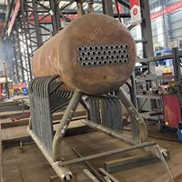 Chaudière à vapeur CE de 4 tonnes à granulés de bois biomasse, fabriquée en Chine