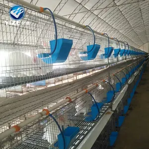 阿里巴巴中国供应商 12 门兔子笼出售/兔子养殖笼在赞比亚 (工厂)
