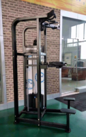 Appareil de musculation commercial SK Fitness pour exercices de mollets, équipement de musculation en acier réglable avec pile de poids de 70 kg