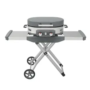 Outdoor High Quality Outdoor Road Trip Portable Stand-up Foldable 2 Burner Gas Grill
