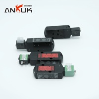 ANRUK 210 Électrovanne DC24V Filetage M5 2 Voies 2 Positions Protection IP65 pour Traitement Chimique