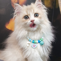 Collier de sécurité détachable pour chat avec clochette, collier perlé coloré et mignon pour chatons et chiots