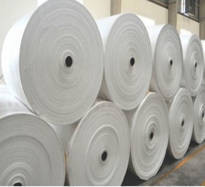 Tela PP empaquetada en rollo - Product Image 1