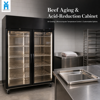 Réfrigérateur de maturation de viande à température unique BSG1260 1000L, vitrine double porte à refroidissement par air pour stockage commercial de viande