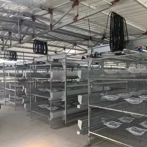 Hot sale cages layers automatic quail poultry pigeons mesh nest pigeon cage commercial breeding in low price