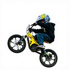 Vélo électrique pour enfants OWAYEBIKE, 12/16 pouces, entrepôt américain en stock, amusant et fiable - Product Image 1